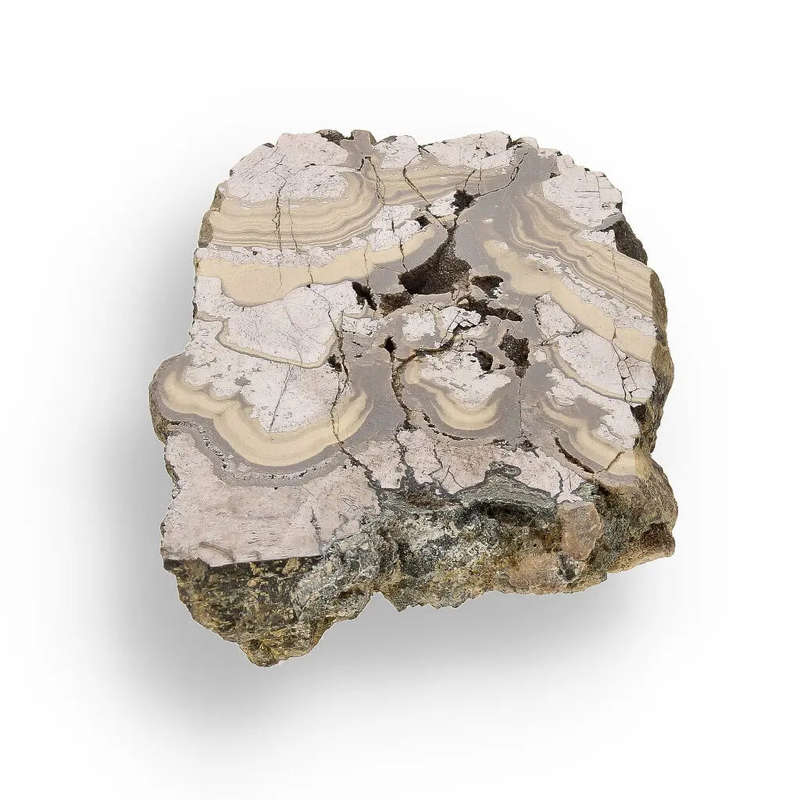 Olkusz Schalenblende Display Piece: Beautifully Banded Sphalerite, Galena & Marcasite from Southe...