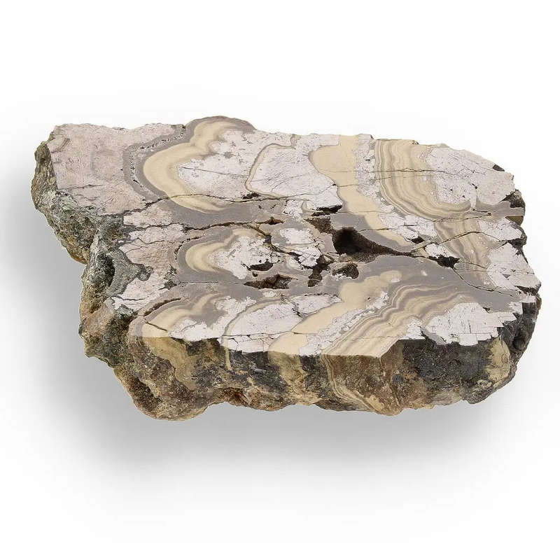Olkusz Schalenblende Display Piece: Beautifully Banded Sphalerite, Galena & Marcasite from Southe...