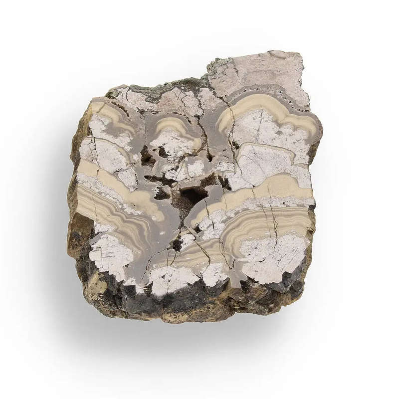 Olkusz Schalenblende Display Piece: Beautifully Banded Sphalerite, Galena & Marcasite from Southe...