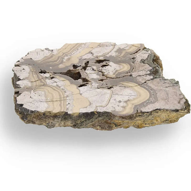Olkusz Schalenblende Display Piece: Beautifully Banded Sphalerite, Galena & Marcasite from Southe...