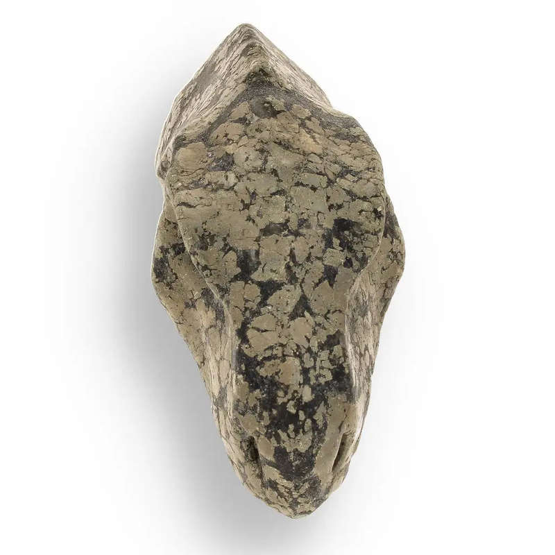 T-Rex Golden Beast: Pyrite Head Carving