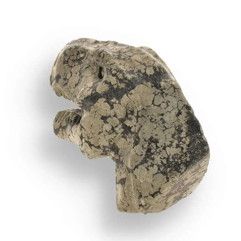 T-Rex Golden Beast: Pyrite Head Carving