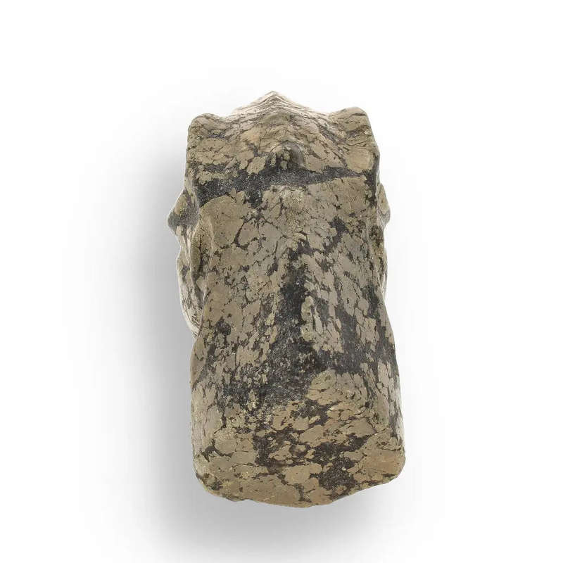 T-Rex Golden Beast: Pyrite Head Carving