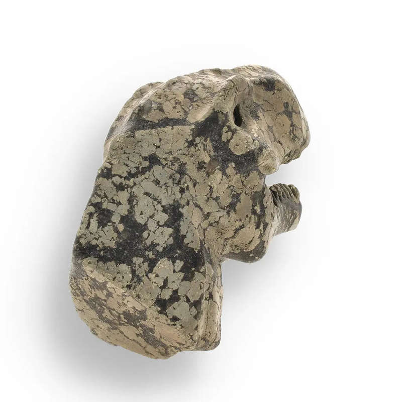 T-Rex Golden Beast: Pyrite Head Carving