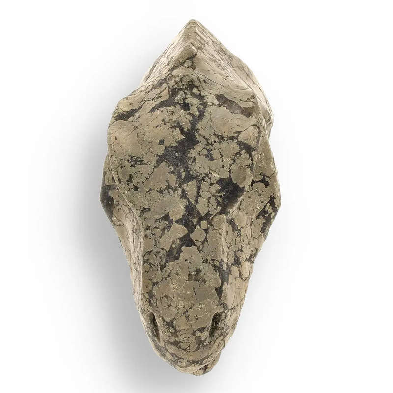 T-Rex Jurassic Spark: Pyrite Carving