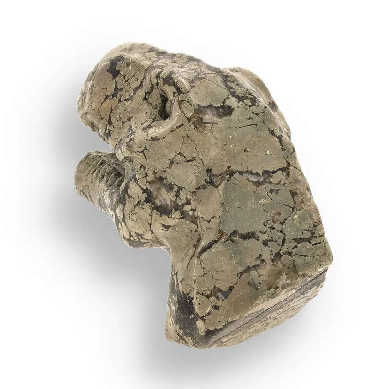T-Rex Jurassic Spark: Pyrite Carving