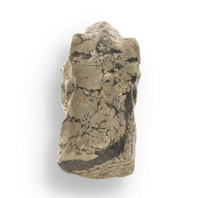 T-Rex Jurassic Spark: Pyrite Carving