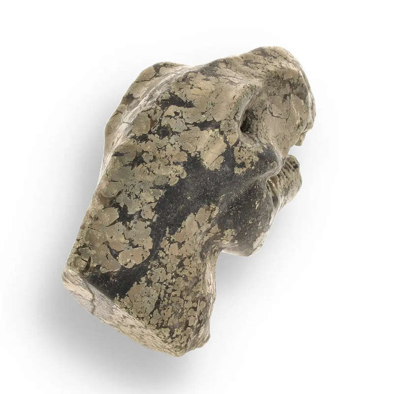 T-Rex Jurassic Spark: Pyrite Carving