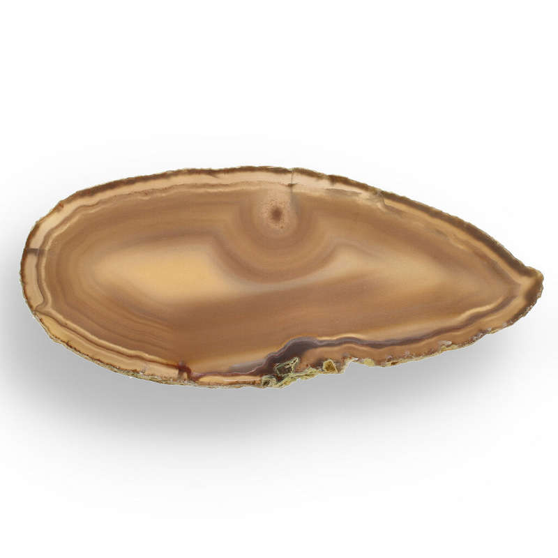 Natural Brown Agate Slice  Slice of Earthy Wonder