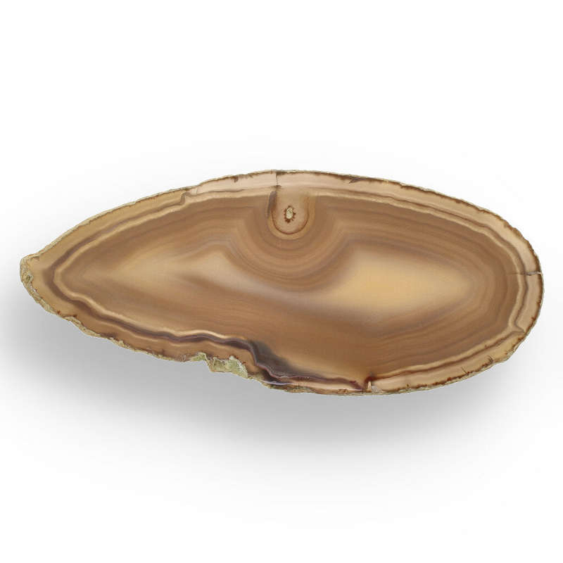 Natural Brown Agate Slice  Slice of Earthy Wonder