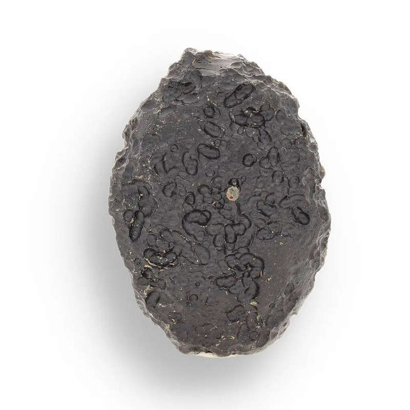 Indochinite Tektite - Authentic Space Glass That Survived Earth's Most Violent Collision