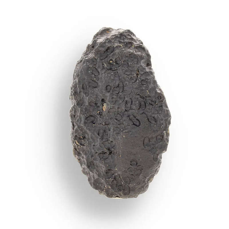 Indochinite Tektite - Authentic Space Glass That Survived Earth's Most Violent Collision
