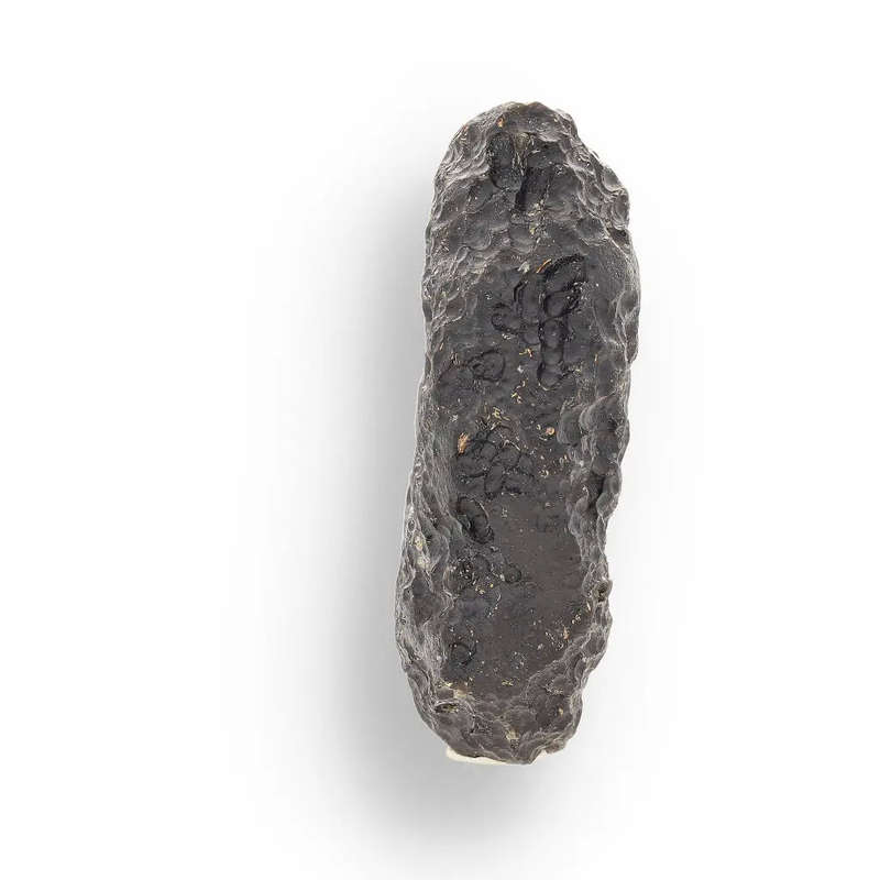 Indochinite Tektite - Authentic Space Glass That Survived Earth's Most Violent Collision