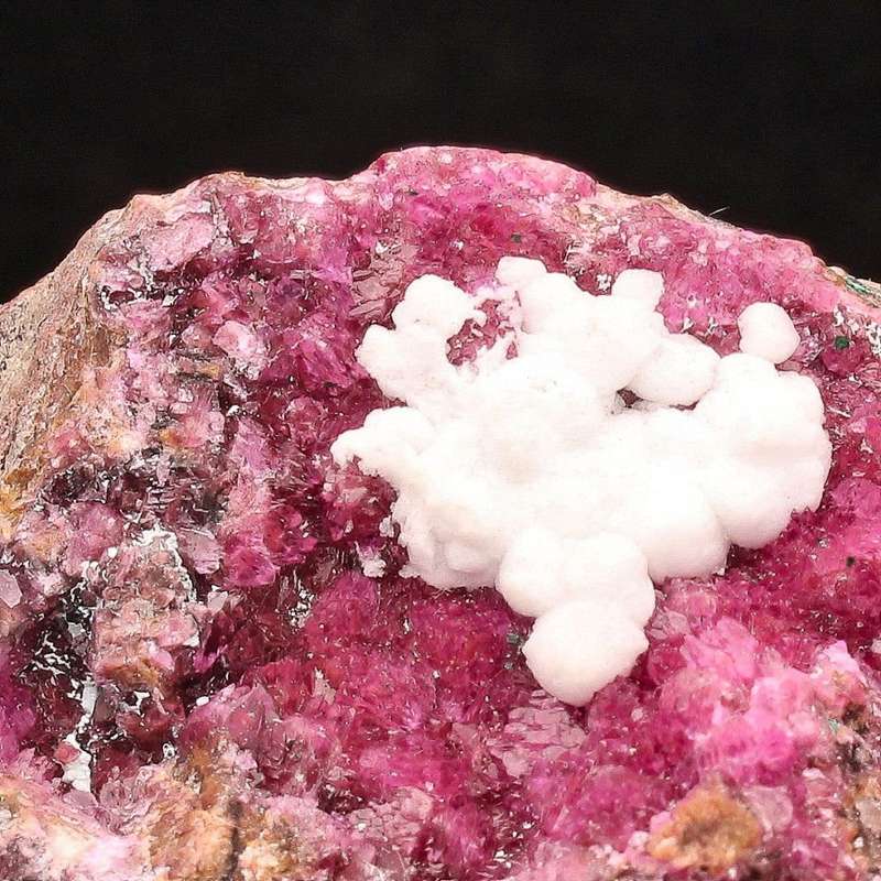 Cobaltoan Calcite on Matrix Specimen