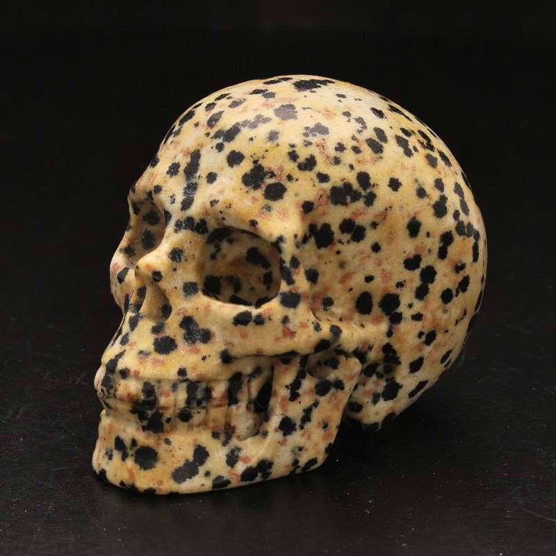 Earthy Dalamtian Jasper Crystal Skull