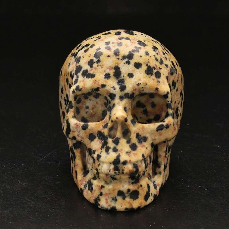 Earthy Dalamtian Jasper Crystal Skull