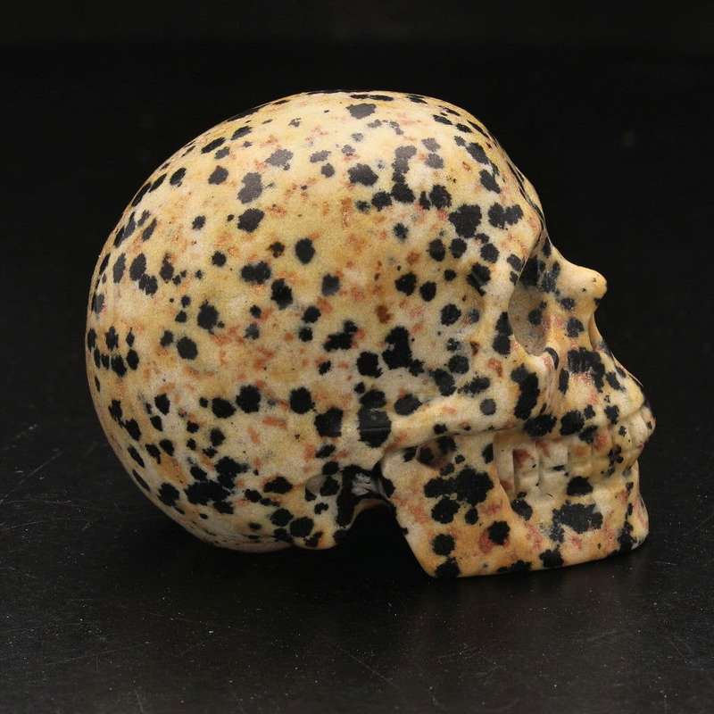 Earthy Dalamtian Jasper Crystal Skull
