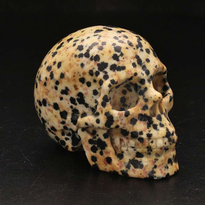 Earthy Dalamtian Jasper Crystal Skull