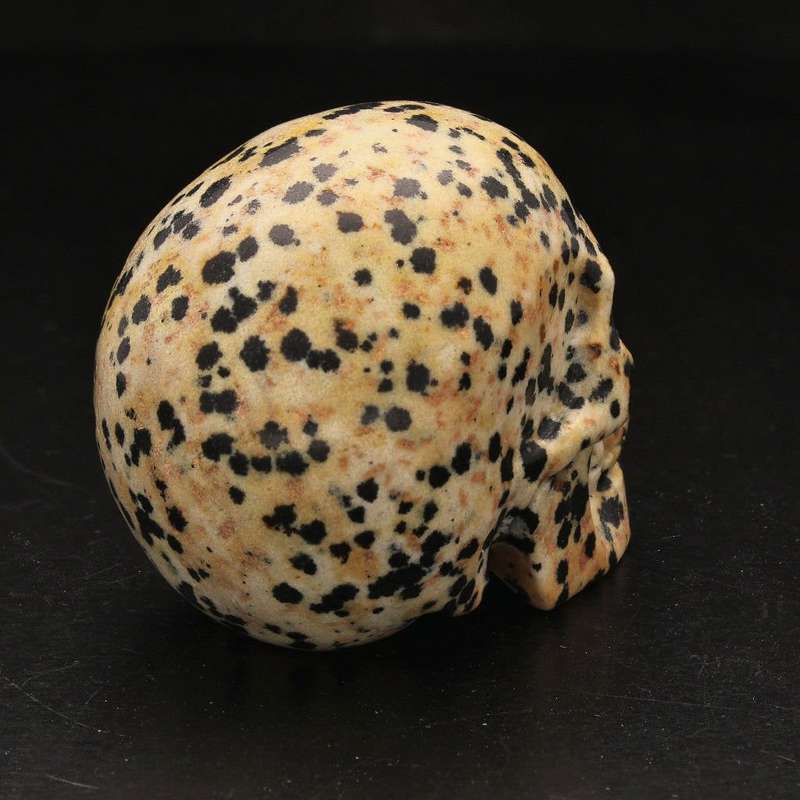 Earthy Dalamtian Jasper Crystal Skull
