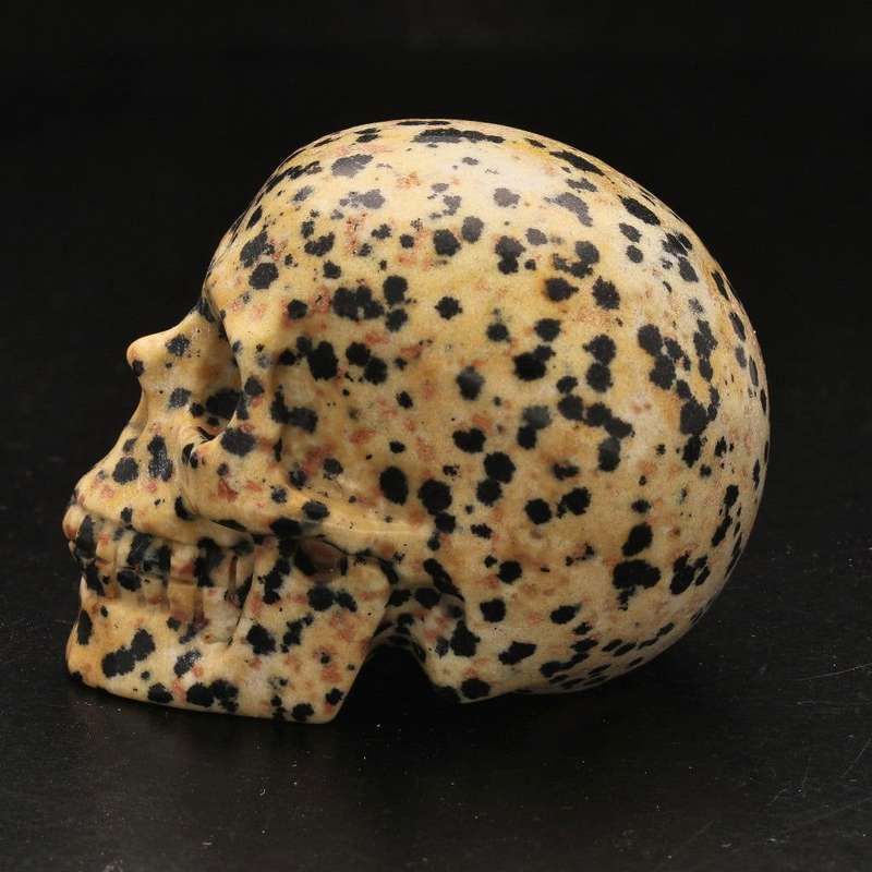 Earthy Dalamtian Jasper Crystal Skull