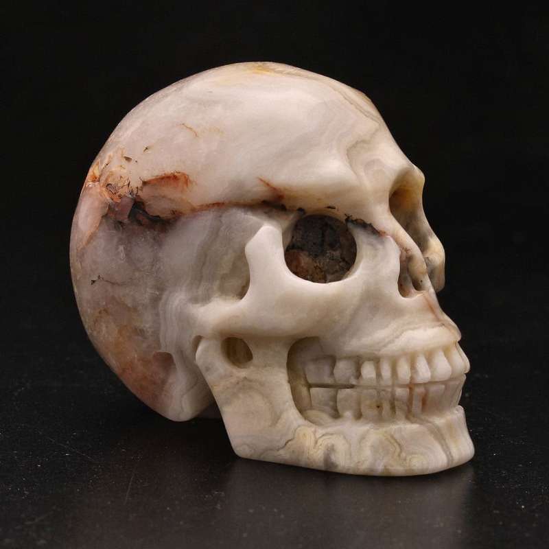 Whimsical Wisdom: Crazy Lace Agate Skull