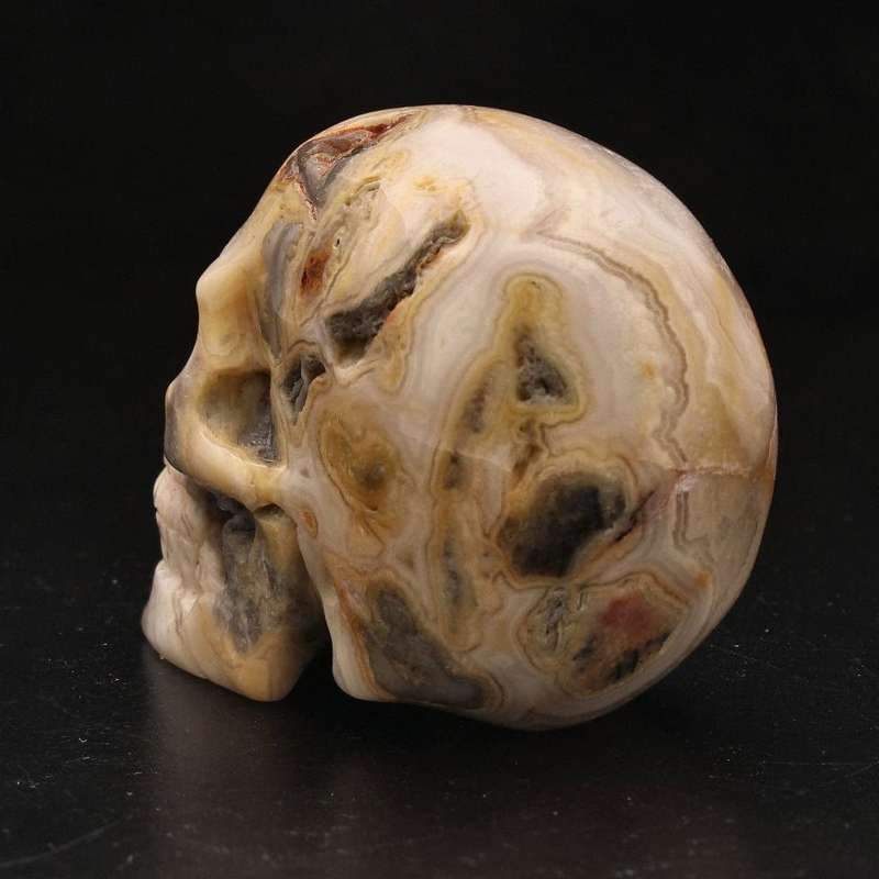 Whimsical Wisdom: Crazy Lace Agate Skull
