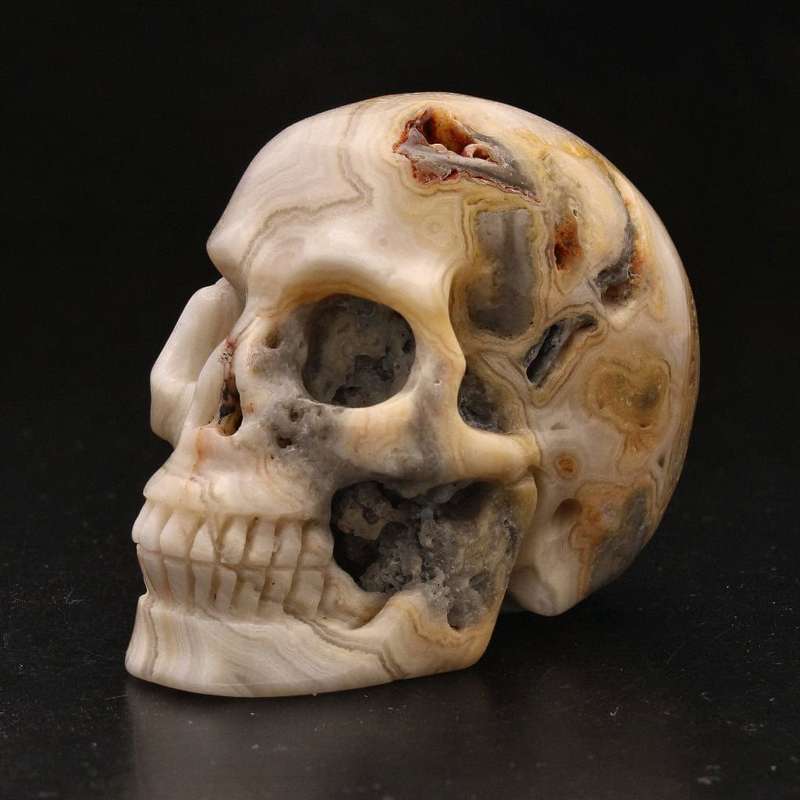 Whimsical Wisdom: Crazy Lace Agate Skull