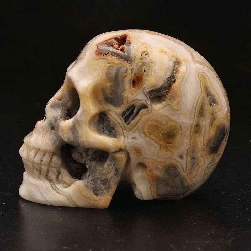 Whimsical Wisdom: Crazy Lace Agate Skull