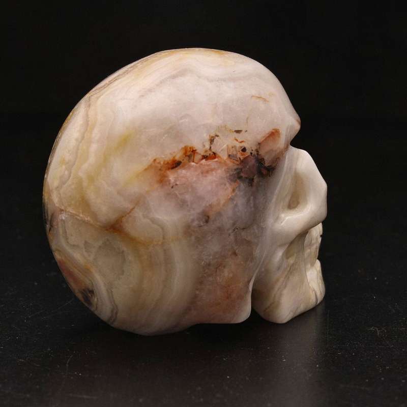 Whimsical Wisdom: Crazy Lace Agate Skull