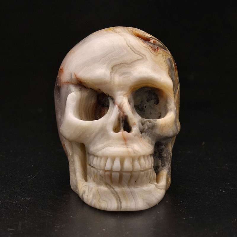 Whimsical Wisdom: Crazy Lace Agate Skull