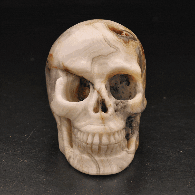 Whimsical Wisdom: Crazy Lace Agate Skull