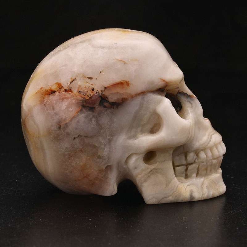 Whimsical Wisdom: Crazy Lace Agate Skull