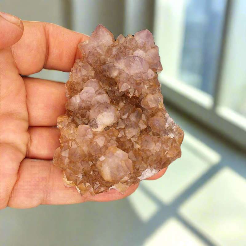 Rare Northern Cape Smoky Citrine & Amethyst Cactus Quartz