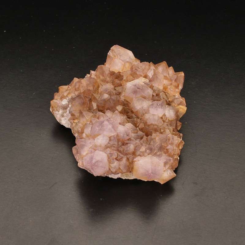 Rare Northern Cape Smoky Citrine & Amethyst Cactus Quartz