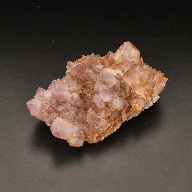 Rare Northern Cape Smoky Citrine & Amethyst Cactus Quartz
