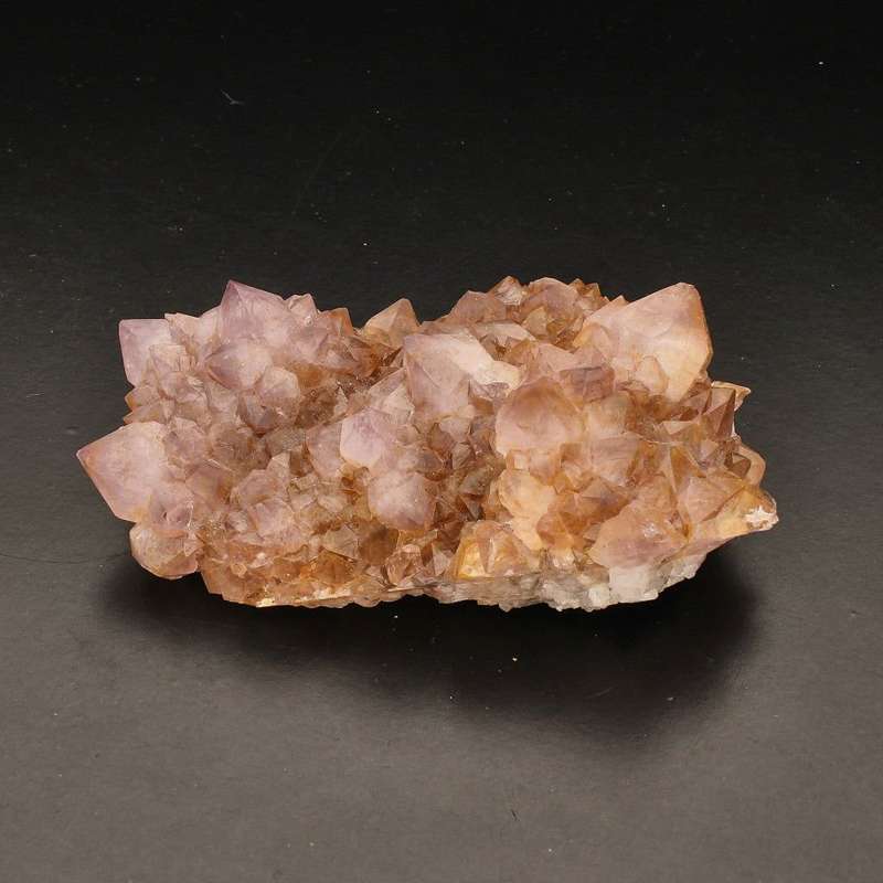 Rare Northern Cape Smoky Citrine & Amethyst Cactus Quartz