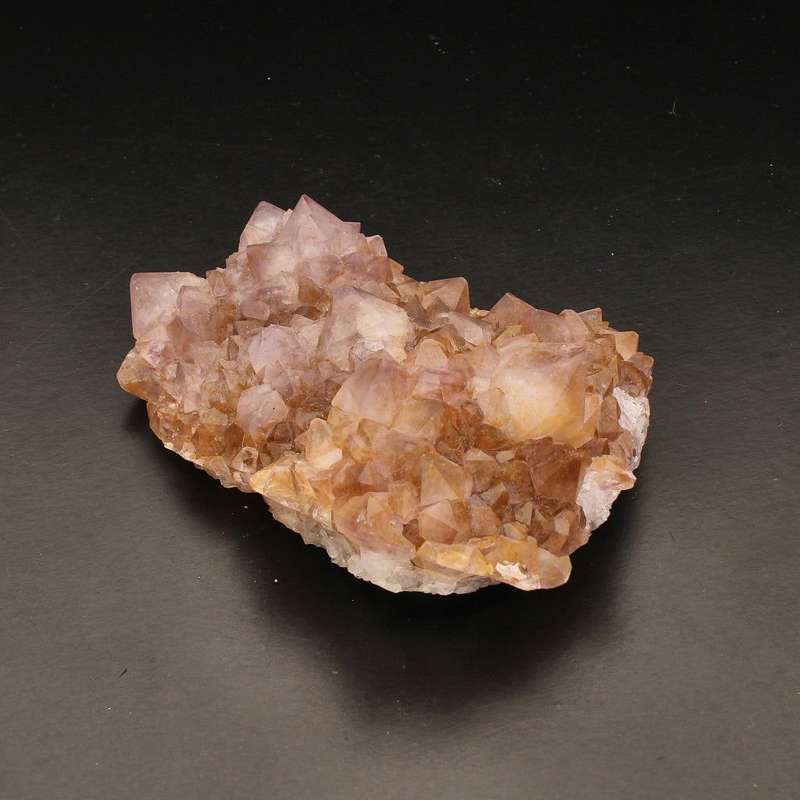Rare Northern Cape Smoky Citrine & Amethyst Cactus Quartz