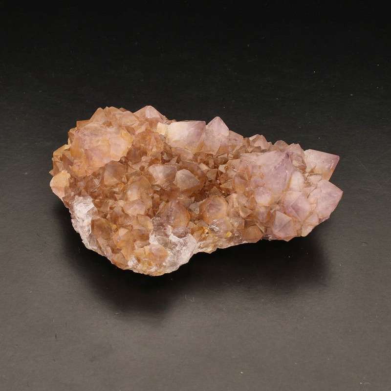 Rare Northern Cape Smoky Citrine & Amethyst Cactus Quartz