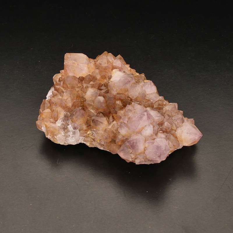 Rare Northern Cape Smoky Citrine & Amethyst Cactus Quartz