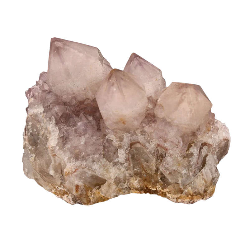 Rarity Northern Cape Smoky Amethyst Cactus Quartz Cluster