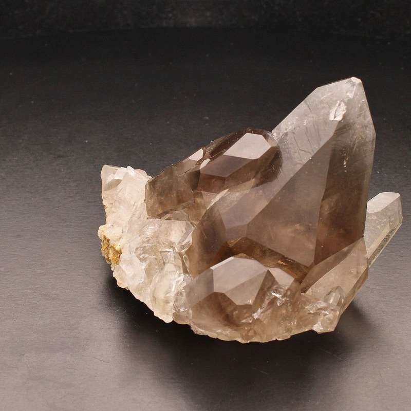 Smoky Quartz Cluster (Steinkopf) - Grounding Energy