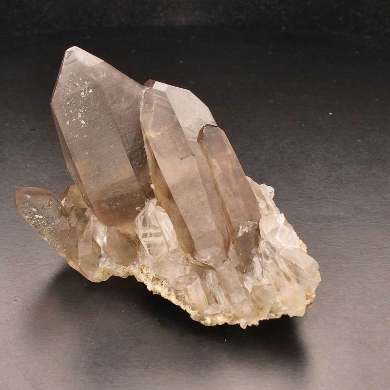 Smoky Quartz Cluster (Steinkopf) - Grounding Energy