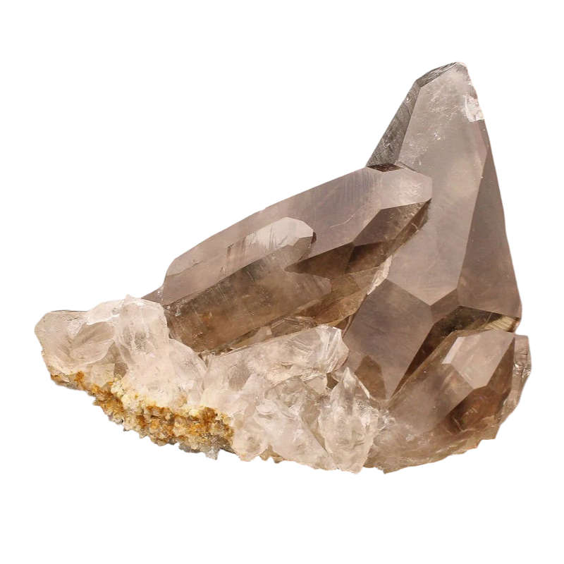 Smoky Quartz Cluster (Steinkopf) - Grounding Energy