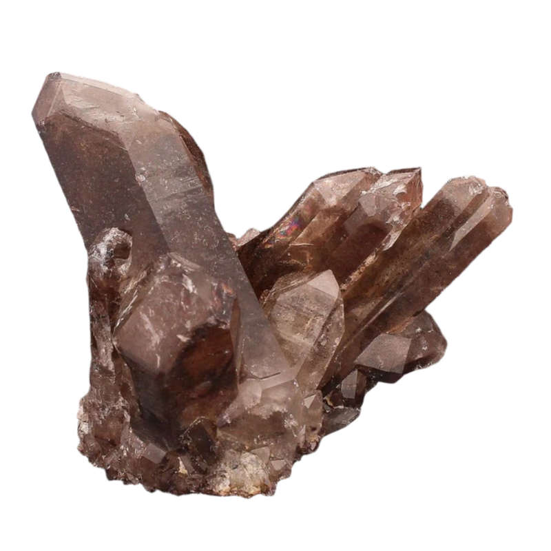 Smoky Quartz Cluster