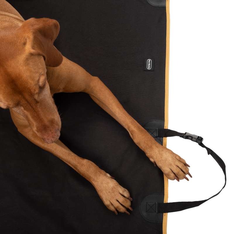 FurMate Pet Car Seat Cover - Hammock Design - FUR02