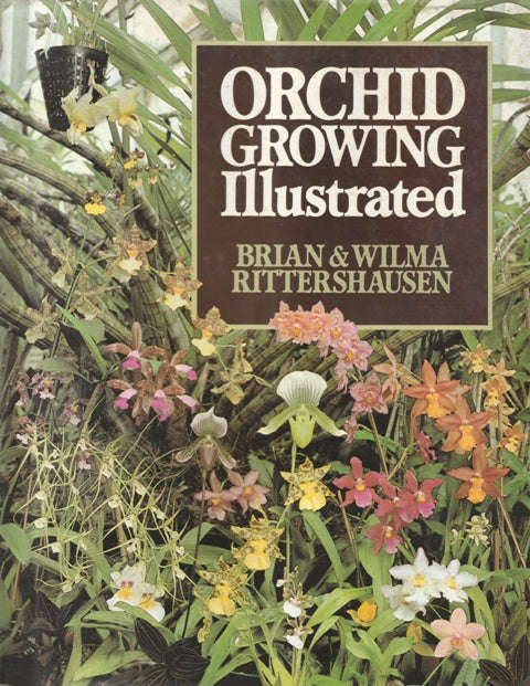 Brian & Wilma Rittershausen Orchid Growing Illustrated (Hard cover)