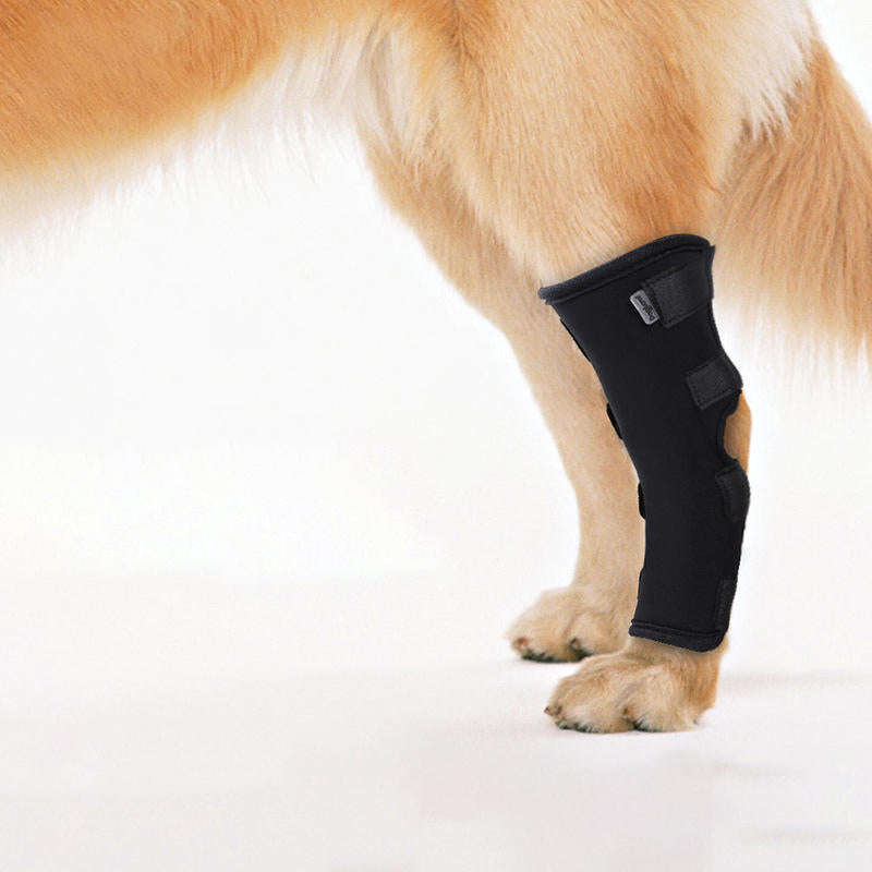 Dog Hock Braces Pet Supportive Rear Dog Compression Leg Joint Wrap Protects Wounds and Injury - S