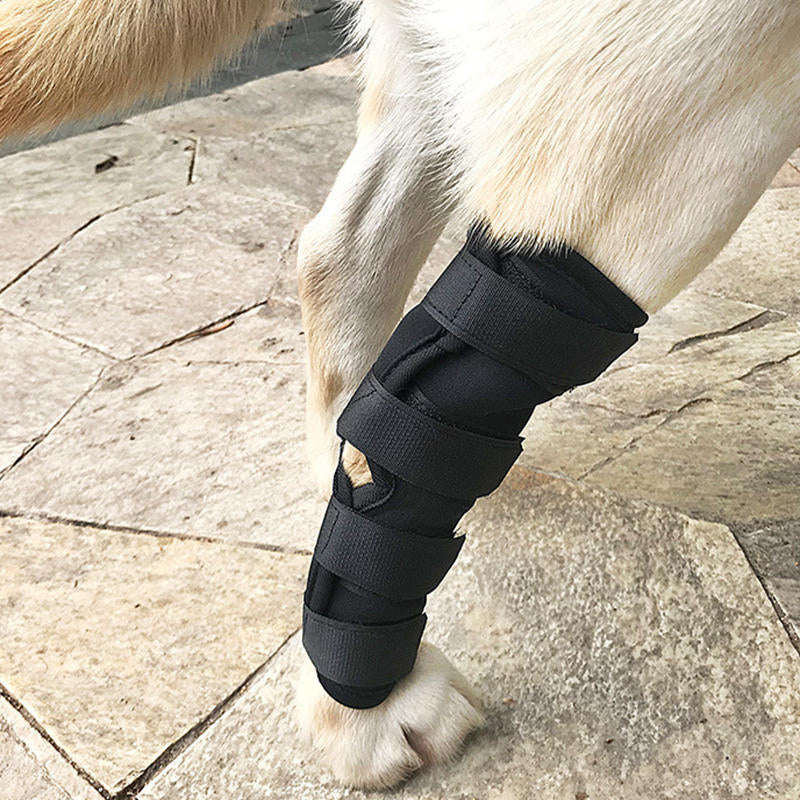 Dog Hock Braces Pet Supportive Rear Dog Compression Leg Joint Wrap Protects Wounds and Injury - S