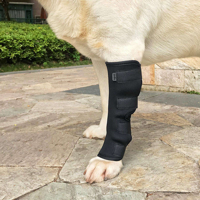 Dog Hock Braces Pet Supportive Rear Dog Compression Leg Joint Wrap Protects Wounds and Injury - S