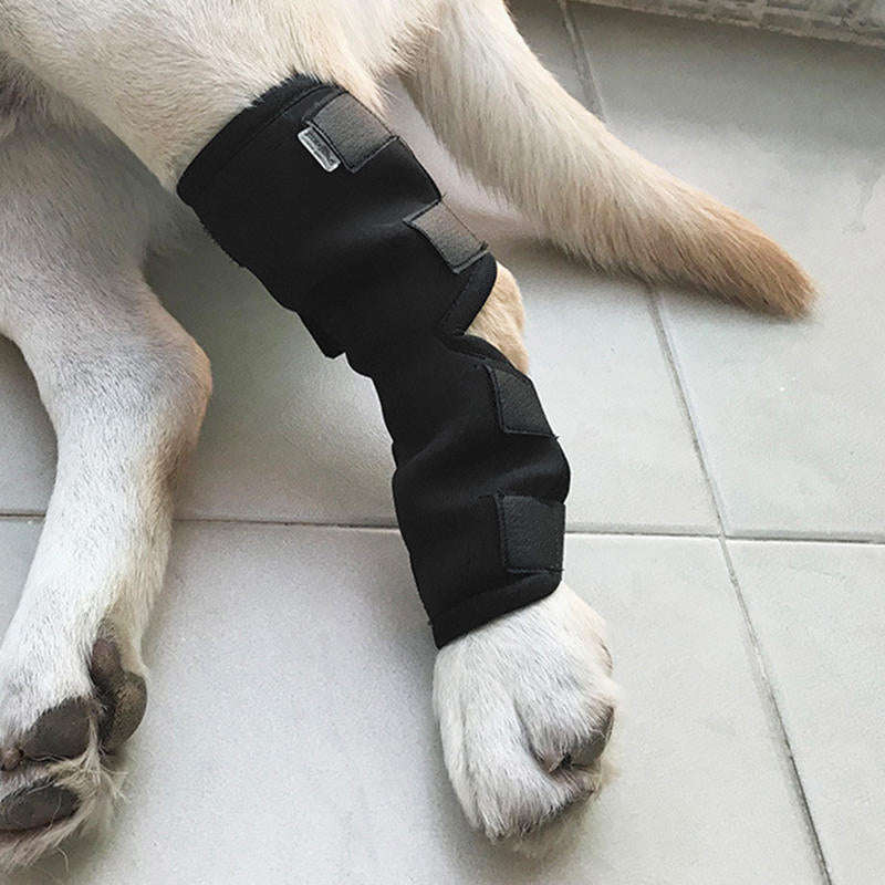 Dog Hock Braces Pet Supportive Rear Dog Compression Leg Joint Wrap Protects Wounds and Injury - S
